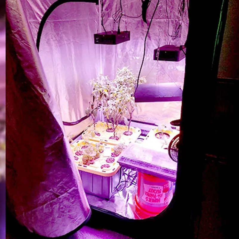 Grow Tent 4X4 - Новая трендовая гроутент-теплица 4x4 для выращивания