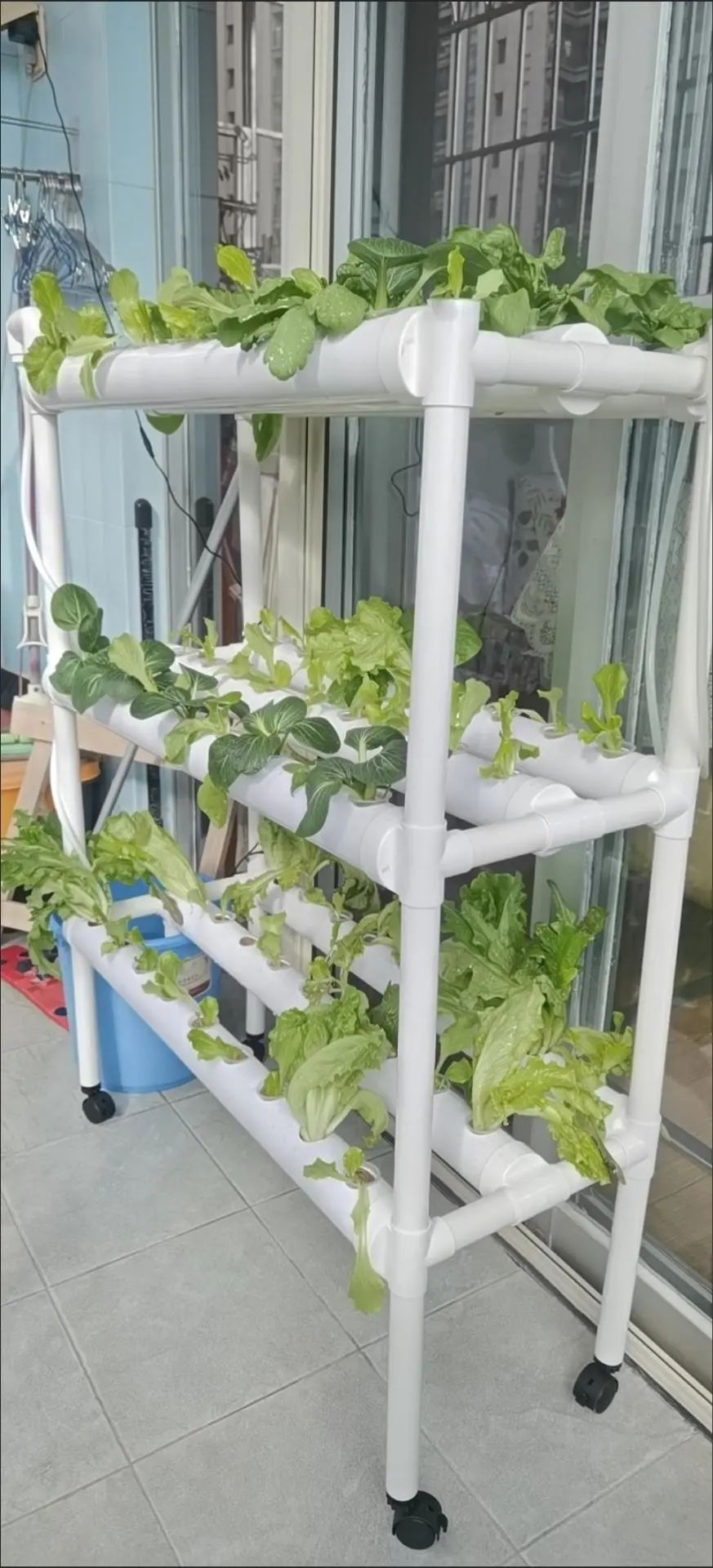 Китайская палатка для выращива – обзор и цена Grow Tent 4X4