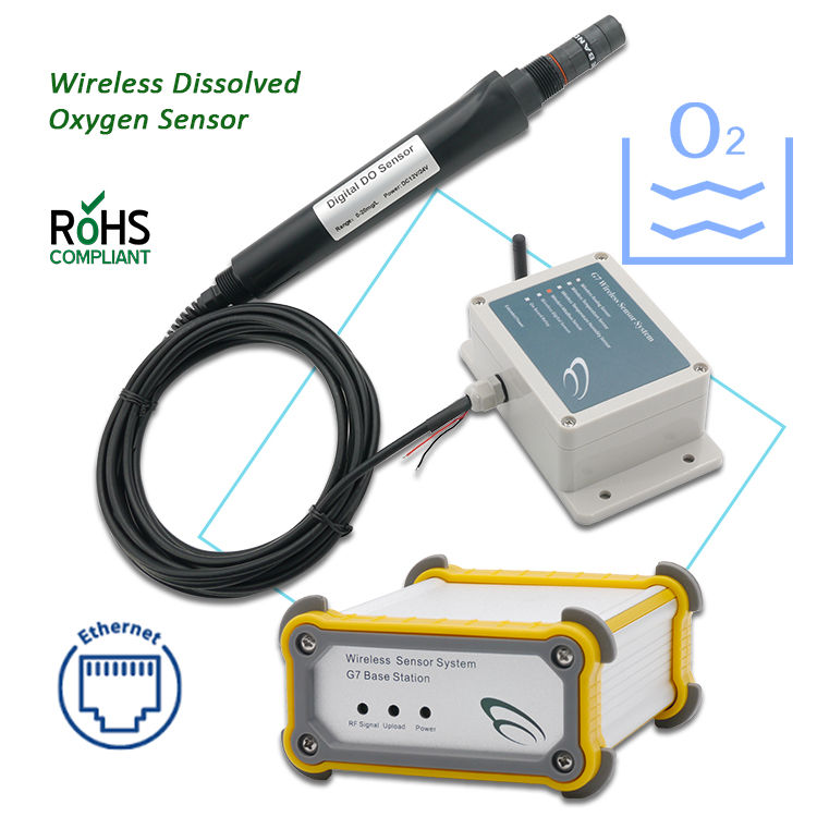 НОВЫЙ анализатор для мониторин – обзор и цена Do Oxygen Meter
