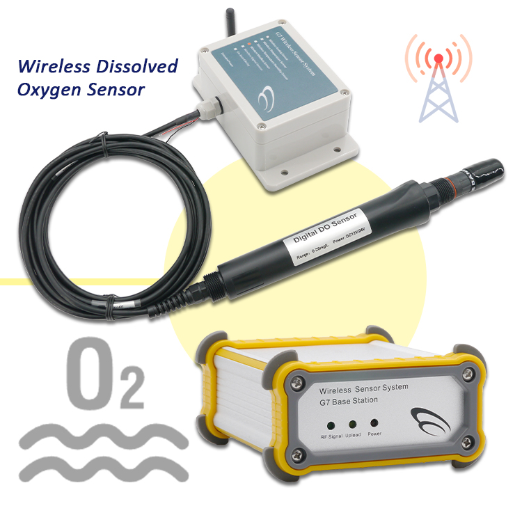 НОВЫЙ анализатор для мониторин – обзор и цена Do Oxygen Meter