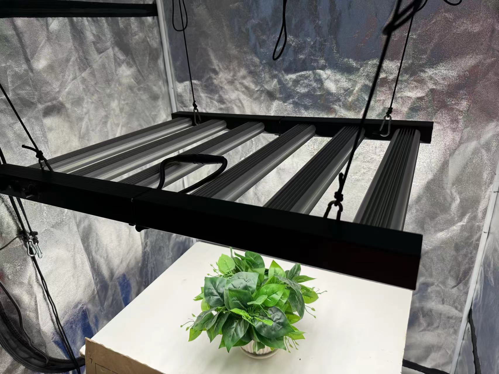 Комплект для выращивания расте – обзор и цена Grow Tent 4X4
